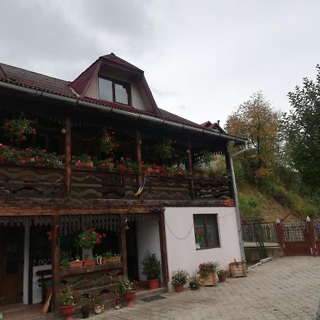 Casa Cozorici Hotel Sadova  Exterior photo